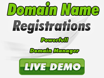 Economical domain name service providers